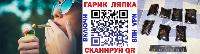 ГАШ Ice-O-Lator  Купить где  Курчалой 