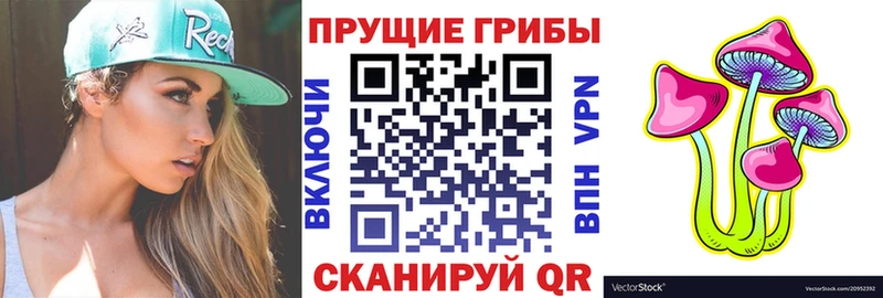 Купить где  Курчалой  Галлюциногенные грибы Magic Shrooms 