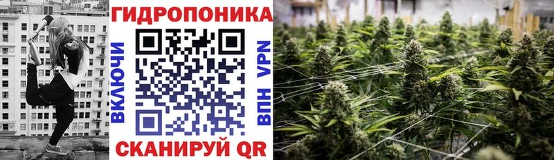 Купить где  Курчалой  МАРИХУАНА SATIVA & INDICA 